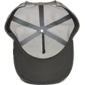 mutsid-kumer-hall-snapback-king-of-the-jungle-the-farm-goorin-bros