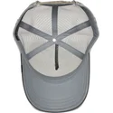 mutsid-kumer-hall-snapback-eye-of-the-tiger-the-farm-goorin-bros