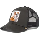 mutsid-kumer-must-snapback-butch-the-farm-goorin-bros