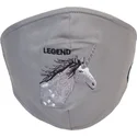 maskid-ja-kaitse-hall-mascarilla-reutilizable-unicornio-living-legend-the-farm-de-goorin-bros