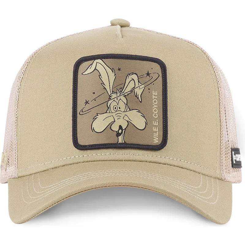mutsid-kumer-pruun-snapback-loo-coy1-koiott-looney-tunes-capslab