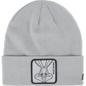 mutsid-hall-bon-bug1-bugs-bunny-looney-tunes-capslab