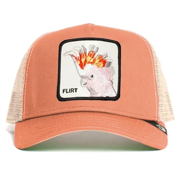 mutsid-kumer-roosa-snapback-big-flirt-the-farm-goorin-bros