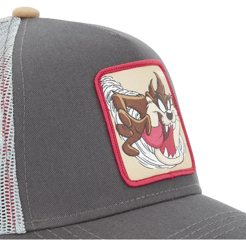 mutsid-kumer-hall-snapback-tasmaania-kurat-looney-tunes-capslab