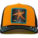 cap-kumer-orange-snapback-estrella-mar-baby-i-m-a-star-the-farm-the-farm-de-goorin-bros