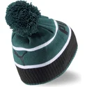 mutsid-roheline-pompon-puma