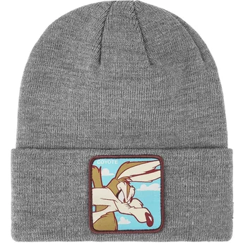 Cap gray Coyote Looney Tunes Capslab