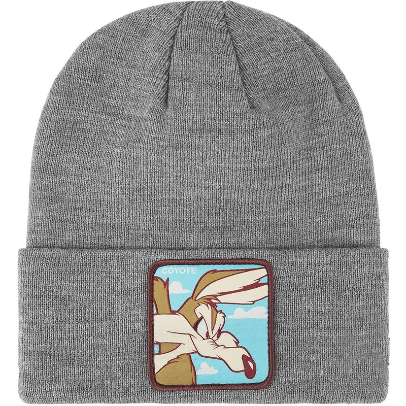 mutsid-hall-bon-coy2-koiott-looney-tunes-capslab
