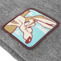 mutsid-hall-bon-coy2-koiott-looney-tunes-capslab
