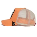 mutsid-kumer-roosa-snapback-the-panther-the-farm-goorin-bros
