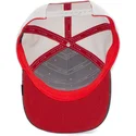 mutsid-kumer-sinine-snapback-lastele-clever-little-raptor-the-farm-goorin-bros