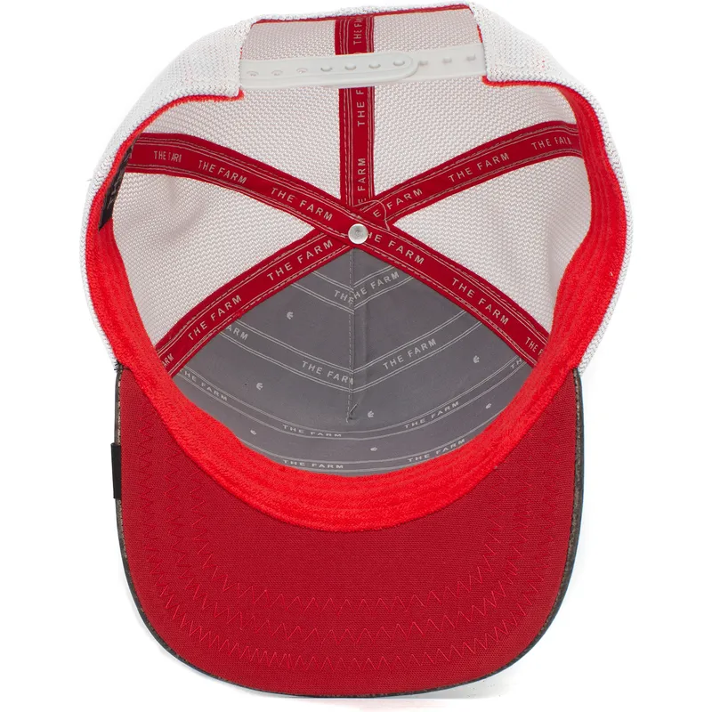 mutsid-kumer-sinine-snapback-lastele-clever-little-raptor-the-farm-goorin-bros