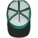 mutsid-kumer-veok-roheline-snapback-pantera-the-panther-the-farm-the-farm-de-goorin-bros