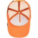 mutsid-kumer-oranz-snapback-the-lone-wolf-the-farm-goorin-bros