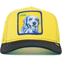 mutsid-kumer-kollane-snapback-loyal-doggy-trip-the-farm-goorin-bros