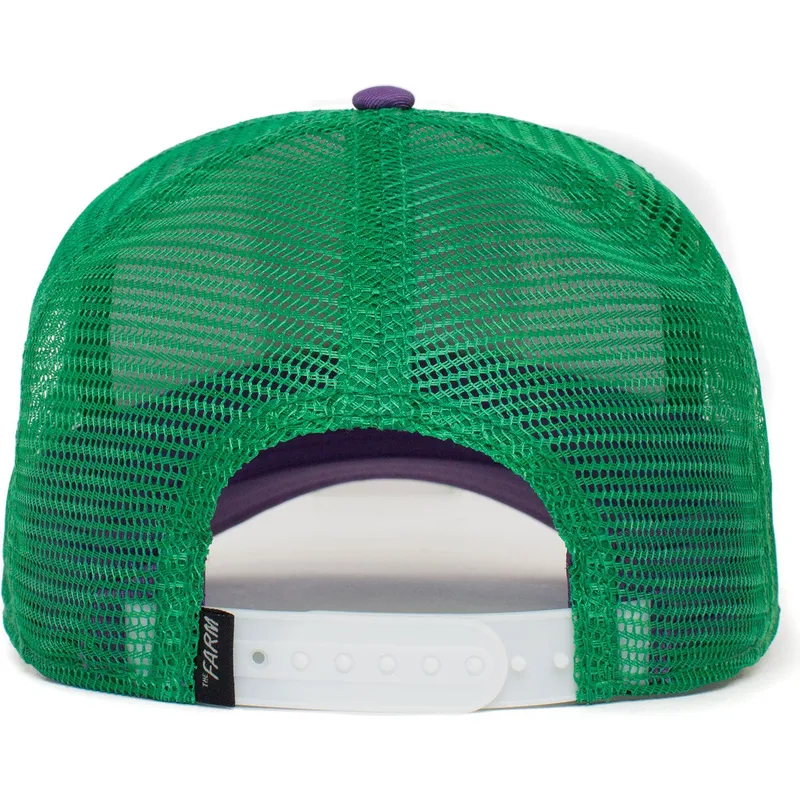mutsid-kumer-mitmevarviline-snapback-ass-donkey-trip-the-farm-goorin-bros