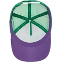 mutsid-kumer-mitmevarviline-snapback-ass-donkey-trip-the-farm-goorin-bros