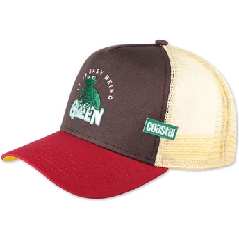Mütsid kumer mitmevärviline snapback It Is Easy Being Green HFT Coastal