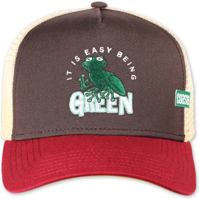 mutsid-kumer-mitmevarviline-snapback-it-is-easy-being-green-hft-coastal