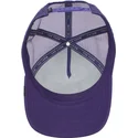 mutsid-kumer-violetne-snapback-the-lone-wolf-the-farm-goorin-bros