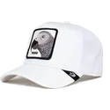 mutsid-kumer-valge-snapback-platinum-word-the-farm-goorin-bros