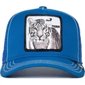 mutsid-kumer-sinine-snapback-lastele-tiger-stripe-earner-the-farm-goorin-bros