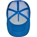 mutsid-kumer-sinine-snapback-lastele-tiger-stripe-earner-the-farm-goorin-bros