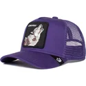 mutsid-kumer-violetne-snapback-lastele-lone-wolf-lil-the-farm-goorin-bros