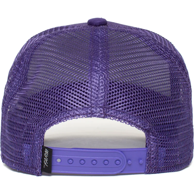 mutsid-kumer-violetne-snapback-lastele-lone-wolf-lil-the-farm-goorin-bros