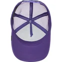 mutsid-kumer-violetne-snapback-lastele-lone-wolf-lil-the-farm-goorin-bros