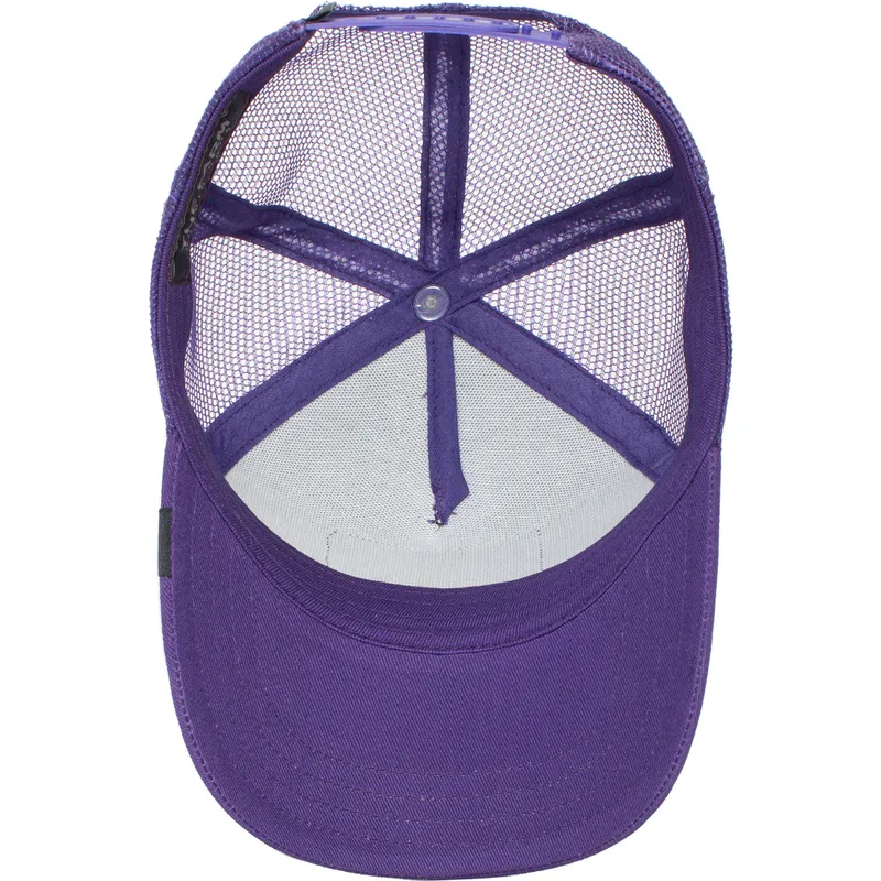 mutsid-kumer-violetne-snapback-lastele-lone-wolf-lil-the-farm-goorin-bros