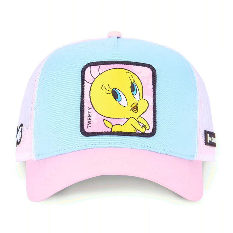 mutsid-kumer-sinine-snapback-loo8-twe1-tiit-looney-tunes-capslab