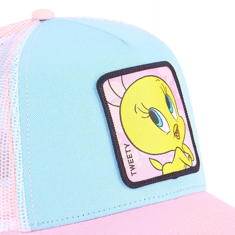 mutsid-kumer-sinine-snapback-loo8-twe1-tiit-looney-tunes-capslab