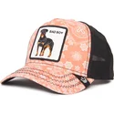 mutsid-kumer-veok-roosa-snapback-perro-rottweiler-bad-boy-lovesexy-the-farm-paisley-the-farm-de-goorin-bros