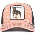 mutsid-kumer-veok-roosa-snapback-perro-rottweiler-bad-boy-lovesexy-the-farm-paisley-the-farm-de-goorin-bros