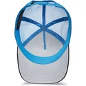 mutsid-kumer-sinine-snapback-mighty-lion-fan-the-farm-goorin-bros