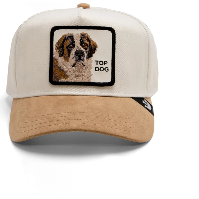 mutsid-kumer-beez-snapback-top-dog-the-suede-st-bernard-the-farm-goorin-bros