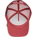 mutsid-kumer-punane-snapback-the-panther-big-cats-the-farm-goorin-bros