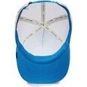 mutsid-kumer-sinine-snapback-lastele-wild-stripes-the-farm-goorin-bros
