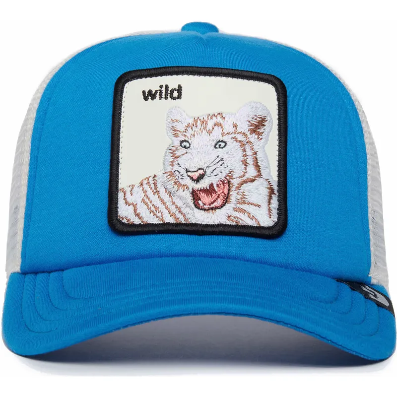 mutsid-kumer-sinine-snapback-lastele-wild-stripes-the-farm-goorin-bros