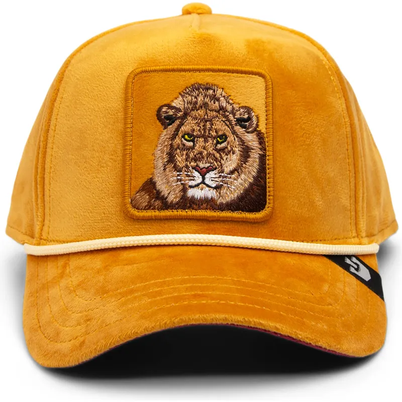 mutsid-kumer-kollane-snapback-lion-royalty-the-farm-goorin-bros