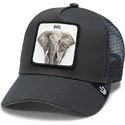 mutsid-kumer-must-snapback-the-big-elephant-global-core-the-farm-goorin-bros