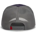 cap-kumer-violet-snapback-goorin-bros-beat-dead-horse-horse-play-the-farm-purple-hat-the-farm-de-goorin-bros