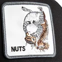 mutsid-kumer-must-snapback-nuts-lerriuqs-flip-side-2-the-farm-goorin-bros
