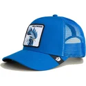 mutsid-kumer-sinine-snapback-hollywood-rooster-sport-the-farm-goorin-bros