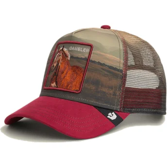 Mütsid kumer mitmevärviline snapback Gambler Stallion In The Element The Farm Goorin Bros.