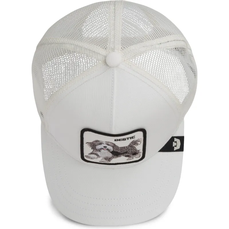 mutsid-kumer-valge-snapback-bestie-the-farm-goorin-bros