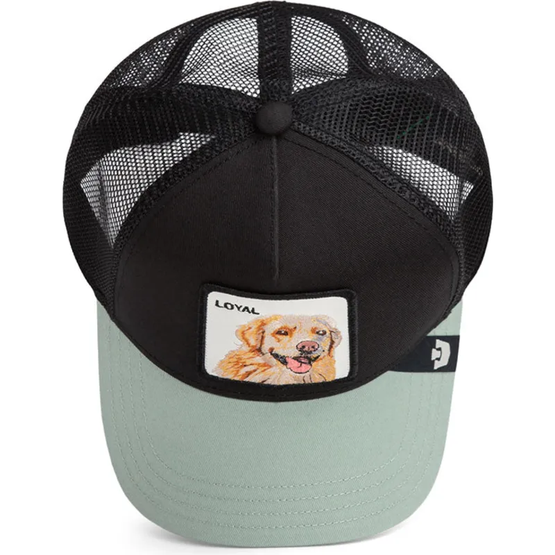 mutsid-kumer-must-snapback-the-loyal-dog-the-farm-goorin-bros