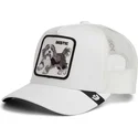 cap-kumer-white-snapback-lastele-the-farm-de-goorin-bros