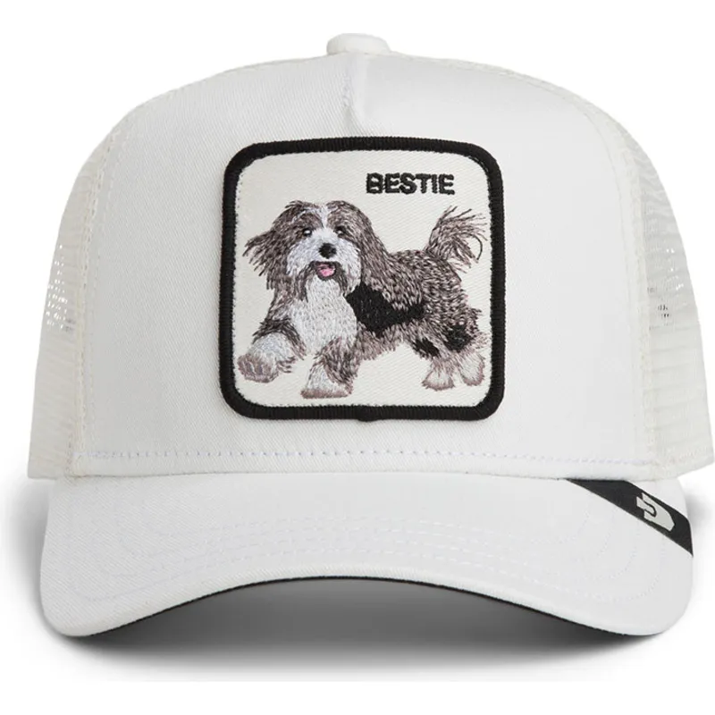 cap-kumer-white-snapback-lastele-the-farm-de-goorin-bros cap-kumer-white-snapback-lastele-the-farm-de-goorin-bros